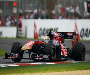 пазл Хайме Alguersuari - Toro Rosso - Мельбурн 2010
